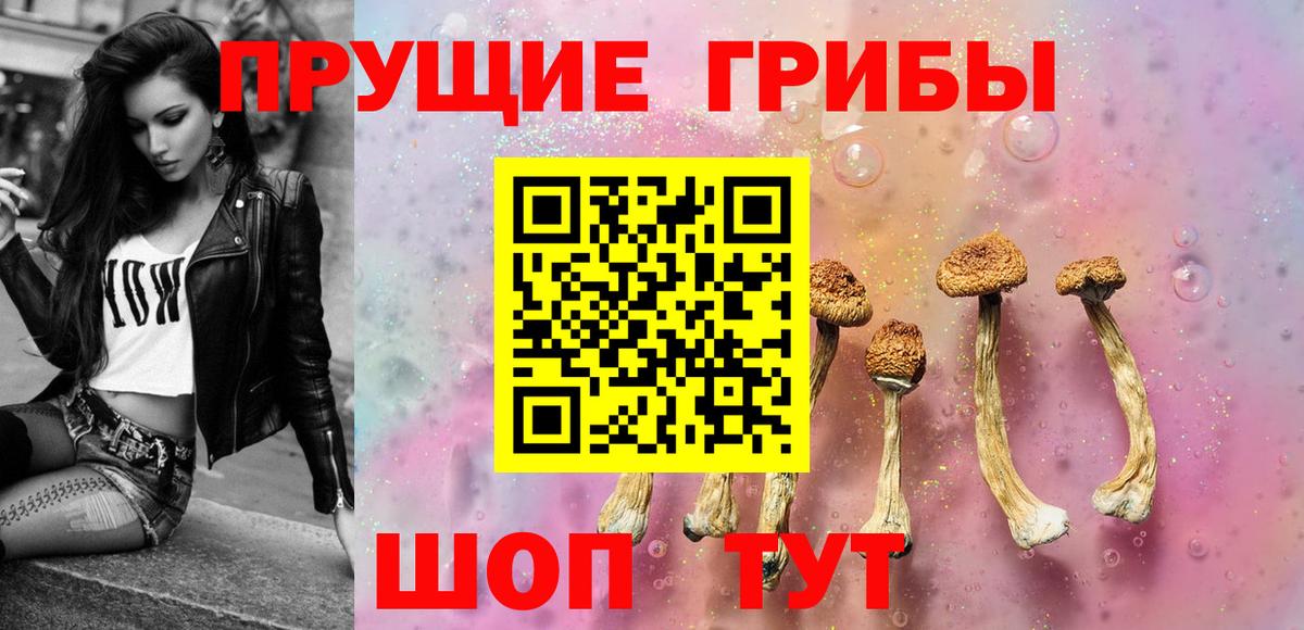 Назрань  Галлюциногенные грибы MAGIC MUSHROOMS  Вход с VPN 